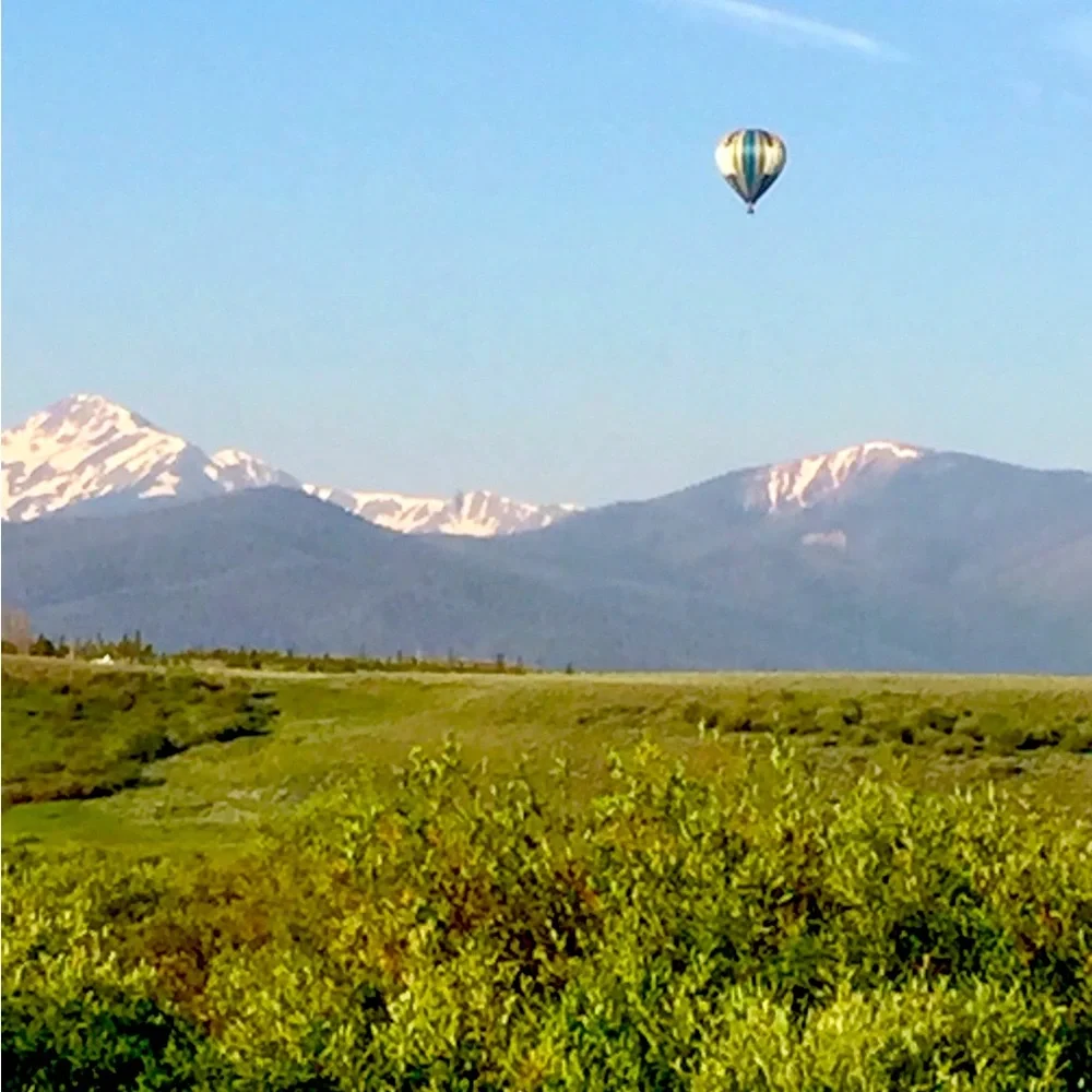 Meet the Posher - Picture 8 of 17